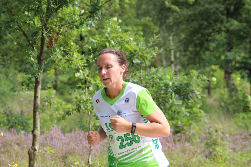 estafette deel 3 - 2017 - 320